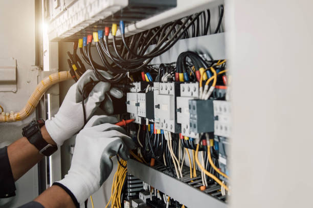 Best Electric Panel Repair  in Lone Tree, CO
